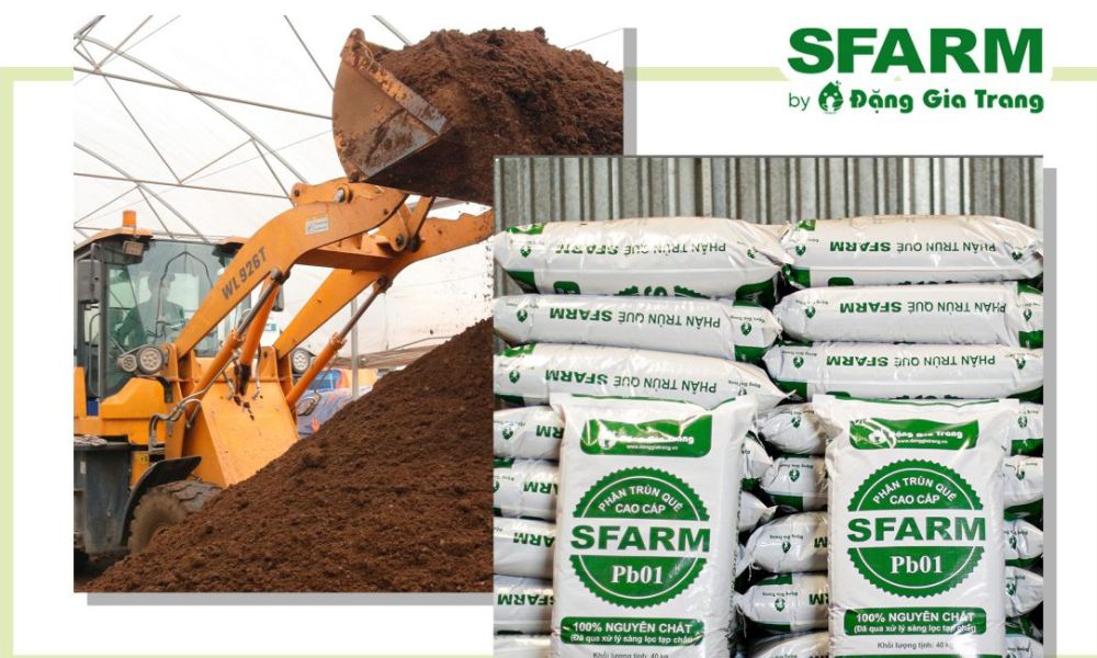 SFARM chuyên cung cấp phân bón số lượng lớn với giá sỉ