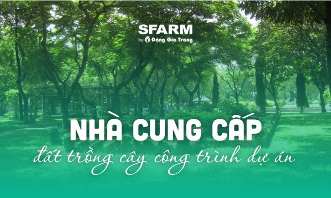 thumb nha cung cap dat trong cay cong trinh du an