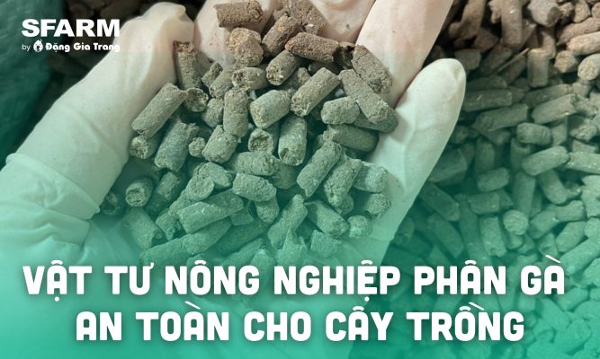 vat tu nong nghiep phan ga huu co an toan thumb