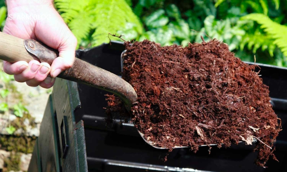 Phân bón Humic có thể sử dụng bón lót và bón thúc