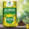 Bao bì đất trồng mai SFARM