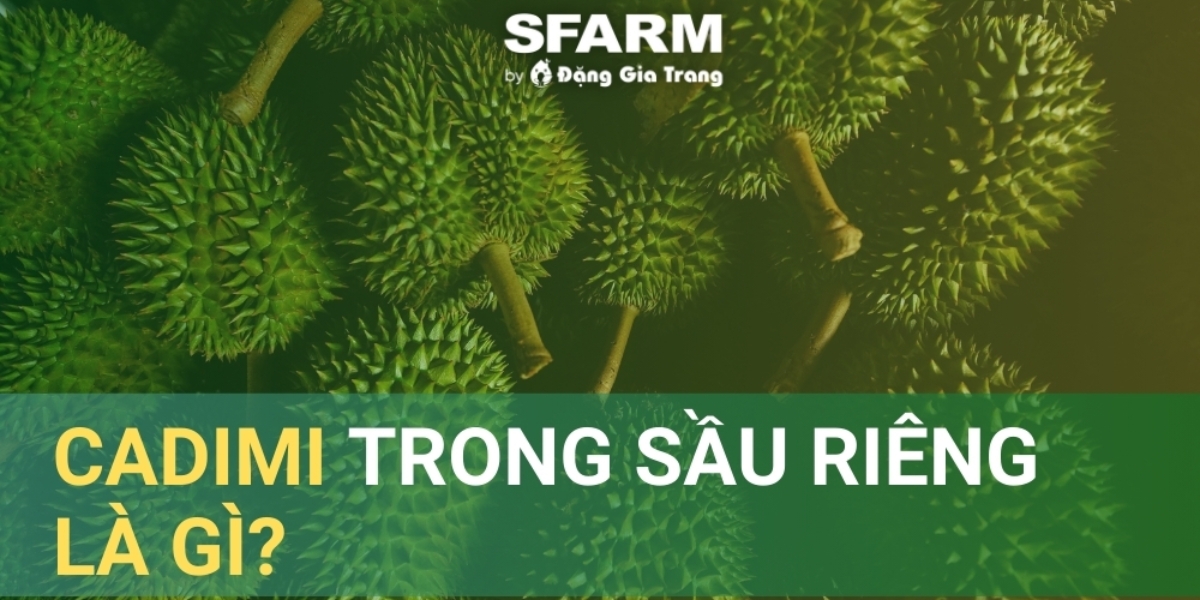 chất cadimi là gì?