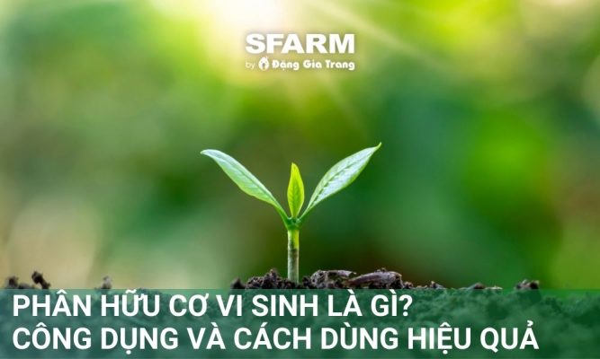 phan huu co vi sinh la gi cong dung va cach dung hieu qua thumb