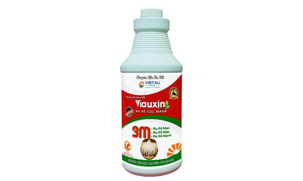 Viauxin giúp tái tạo rễ nhanh chóng sau khi bị tổn thương do thay chậu Viauxin giúp tái tạo rễ nhanh chóng sau khi bị tổn thương do thay chậu