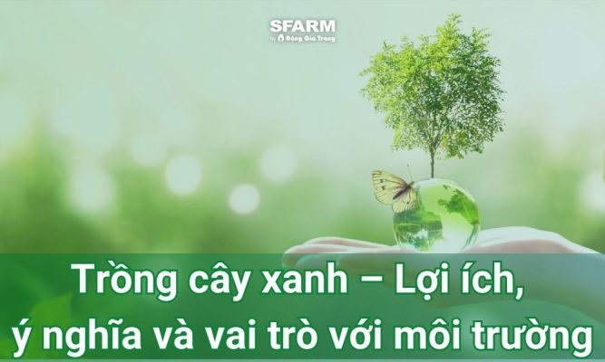 trong cay xanh thumb