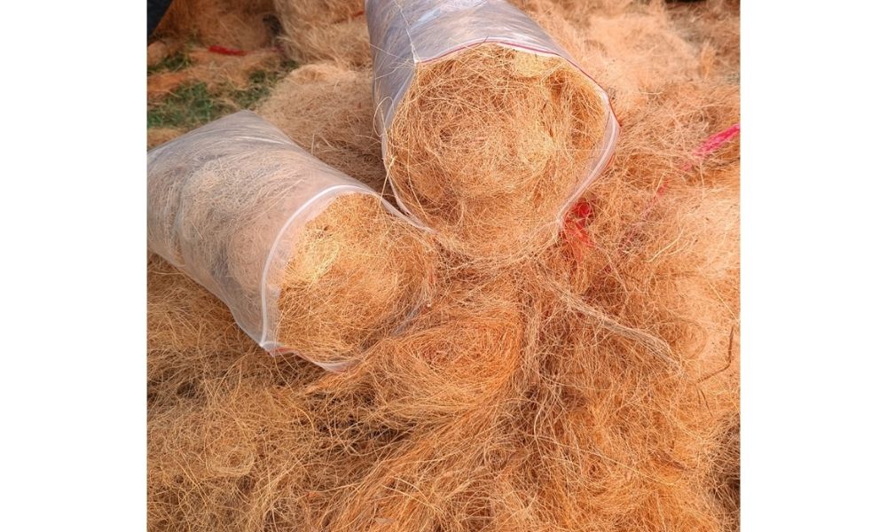 Cách làm giá thể từ xơ dừa đơn giản