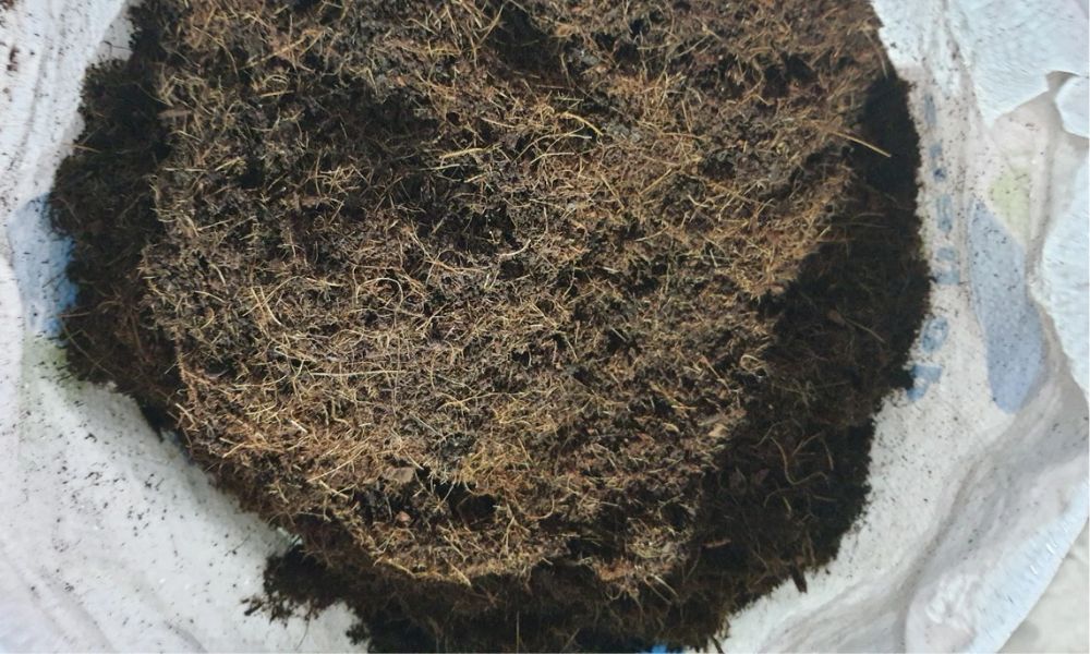 Cách làm giá thể từ xơ dừa đơn giản
