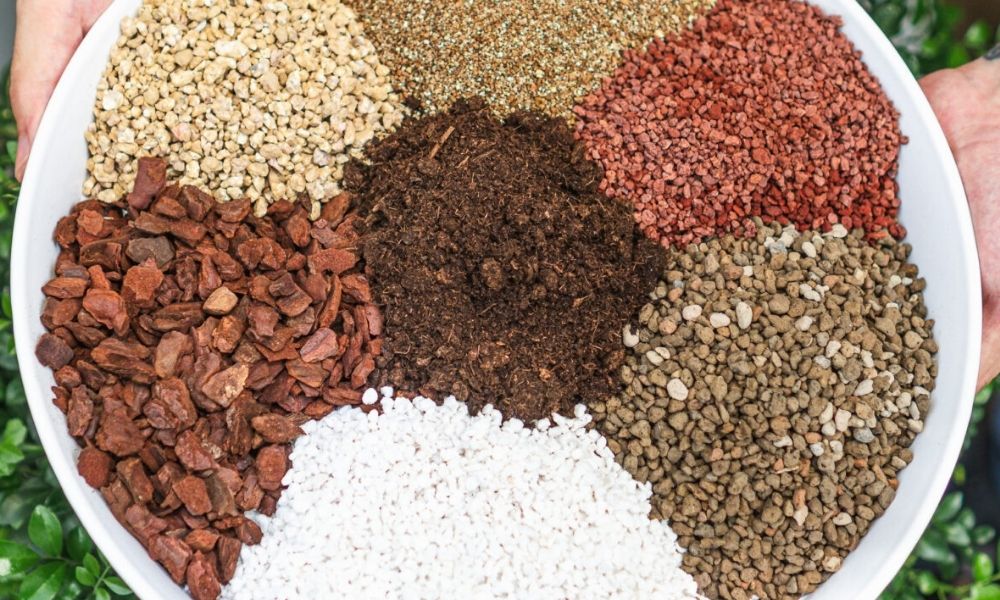 Cách trộn đất trồng sen đá đúng kỹ thuật