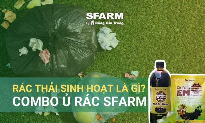 Rác thải sinh hoạt là gì?