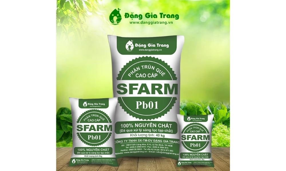 Thị trường phân bón 2024