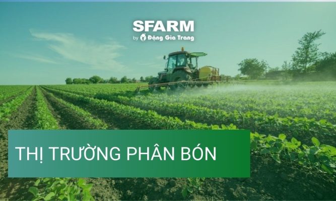 thi truong phan bon thuc trang xu huong co hoi thumb