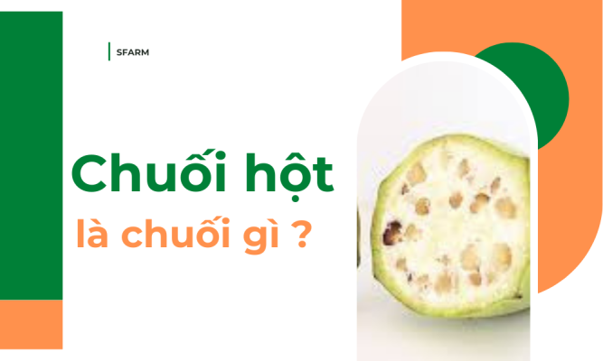 Thumb chuoi hot