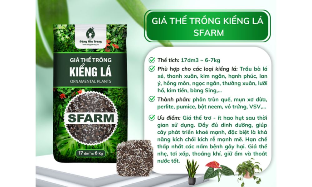 Sản phẩm giá thể kiểng lá của SFARM Sản phẩm giá thể kiểng lá của SFARM