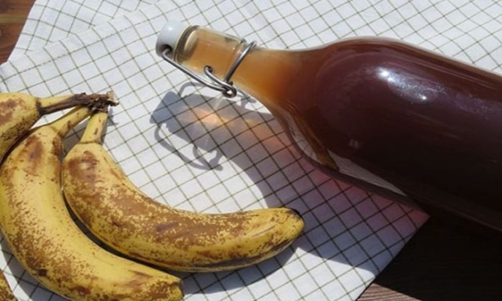 Tận dụng nước ủ chuối để bón cho cây Tận dụng nước ủ chuối để bón cho cây
