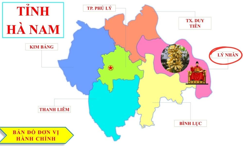 Chuối ngự Đại Hoàng có nguồn gốc từ làng Đại Hoàng Hà Nam Chuối ngự Đại Hoàng có nguồn gốc từ làng Đại Hoàng Hà Nam