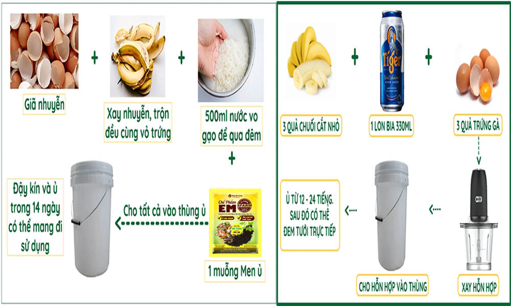 Cách làm phân bón từ chuối + bia/nấm Trichoderma