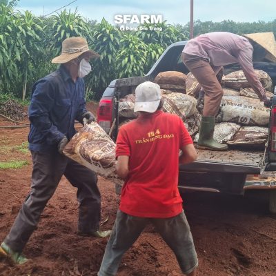 khach hang sfarm 10 2