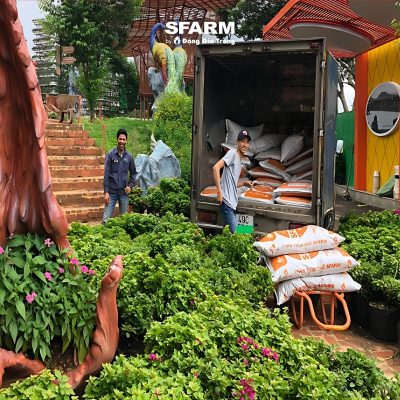 khach hang sfarm 13 2