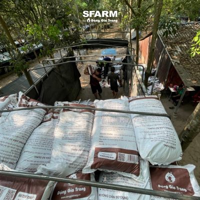 khach hang sfarm 14 2