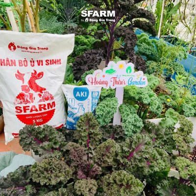khach hang sfarm 15 2