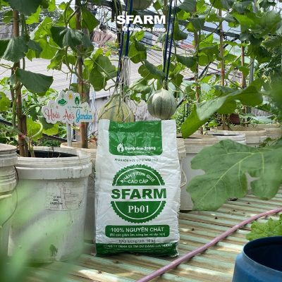 khach hang sfarm 16 2