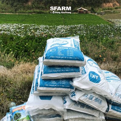 khach hang sfarm 2 2