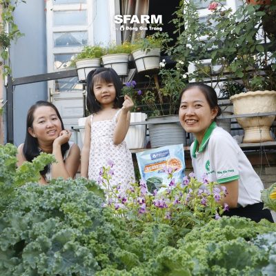 khach hang sfarm 23 2