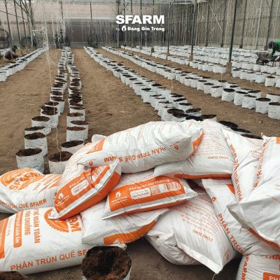 khach hang sfarm 3 2