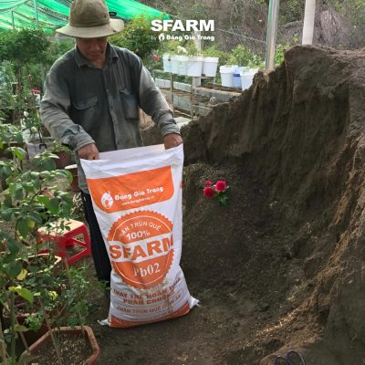 khach hang sfarm 6 2