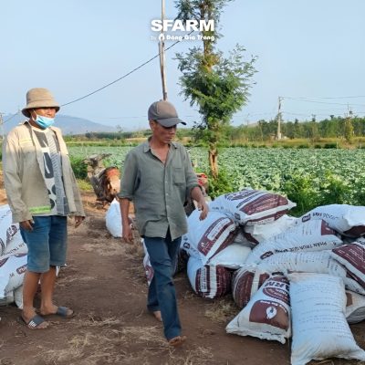 khach hang sfarm 9 2