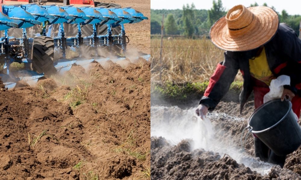 Bón vôi trong kỹ thuật trồng cà phê ở Tây Nguyên Bón vôi trong kỹ thuật trồng cà phê ở Tây Nguyên