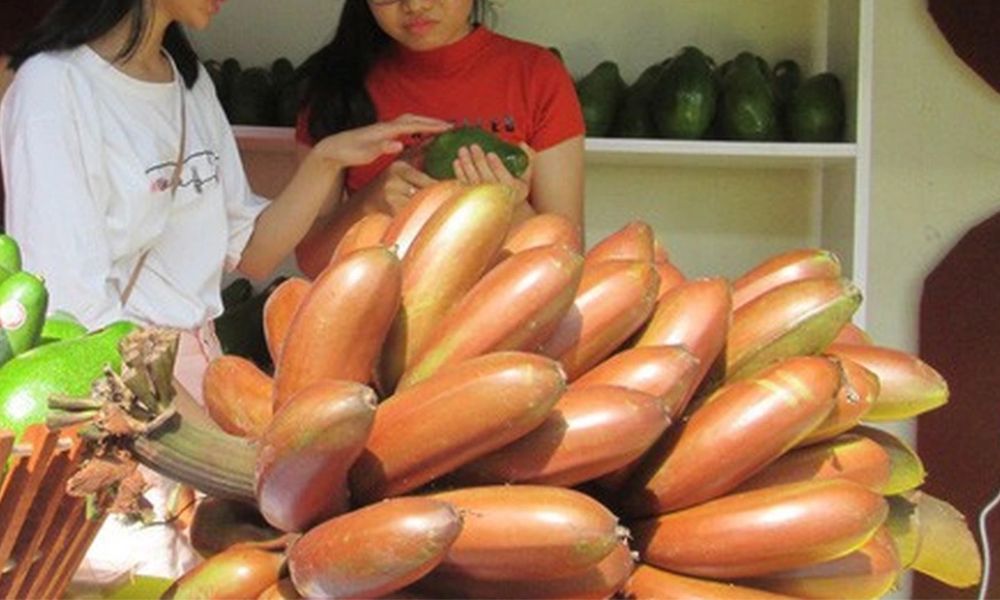 Chuối cau lửa có màu sắc bên ngoài rất bắt mắt Chuối cau lửa có màu sắc bên ngoài rất bắt mắt