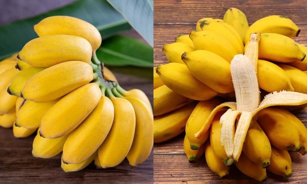 Chuối cau nhỏ nhắn có hương vị ngọt thơm Chuối cau nhỏ nhắn có hương vị ngọt thơm