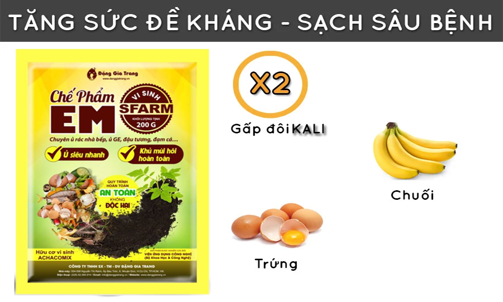 Cách ủ phân bón từ chuối chín