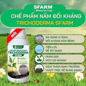 Chế phẩm nấm đối kháng Trichoderma SFARM với nhiều công dụng