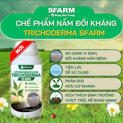 Chế phẩm nấm đối kháng Trichoderma SFARM với nhiều công dụng