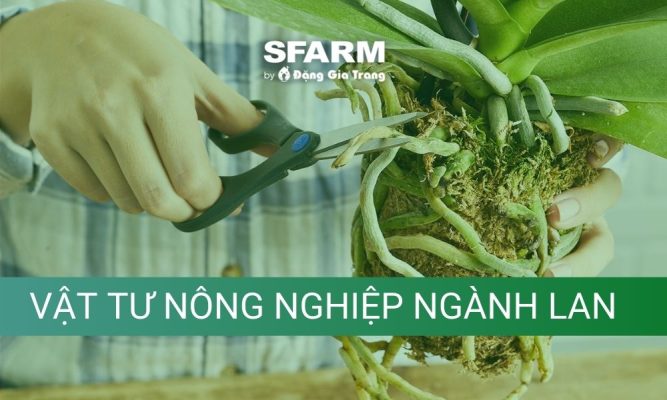 vat tu nong nghiep nganh lan thumb