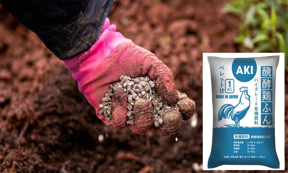 Các loại phân gà dùng để bón cho cây mai phổ biến