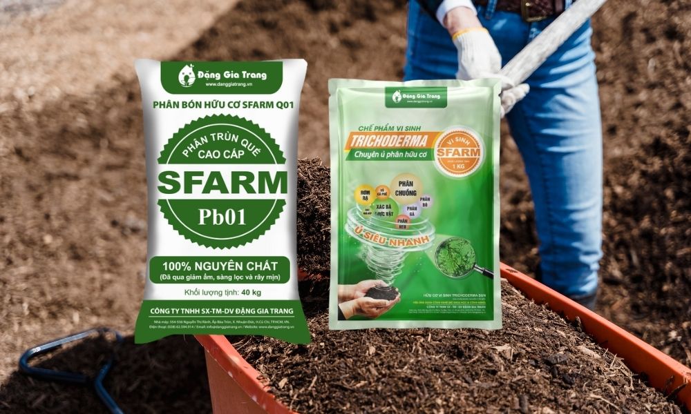 Kết hợp với chế phẩm Trichoderma cùng phân trùn quế của SFARM giúp cây kháng bệnh Kết hợp với chế phẩm Trichoderma cùng phân trùn quế của SFARM giúp cây kháng bệnh