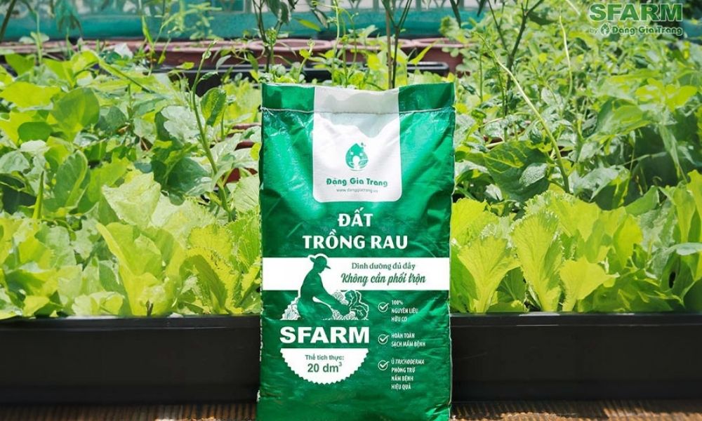 Sau khi ủ thành công, trộn phân hoai vào đất trồng rau để bón cho rau