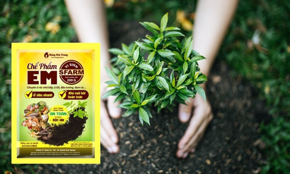 Chế phẩm sinh học EM của SFARM Chế phẩm sinh học EM của SFARM