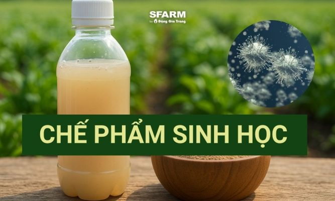 chế phẩm sinh học