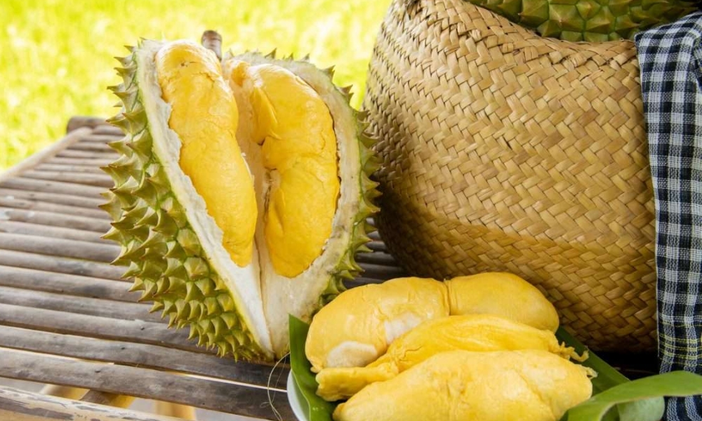 Các câu hỏi thường gặp về cách để sầu riêng nhanh chín Các câu hỏi thường gặp về cách để sầu riêng nhanh chín