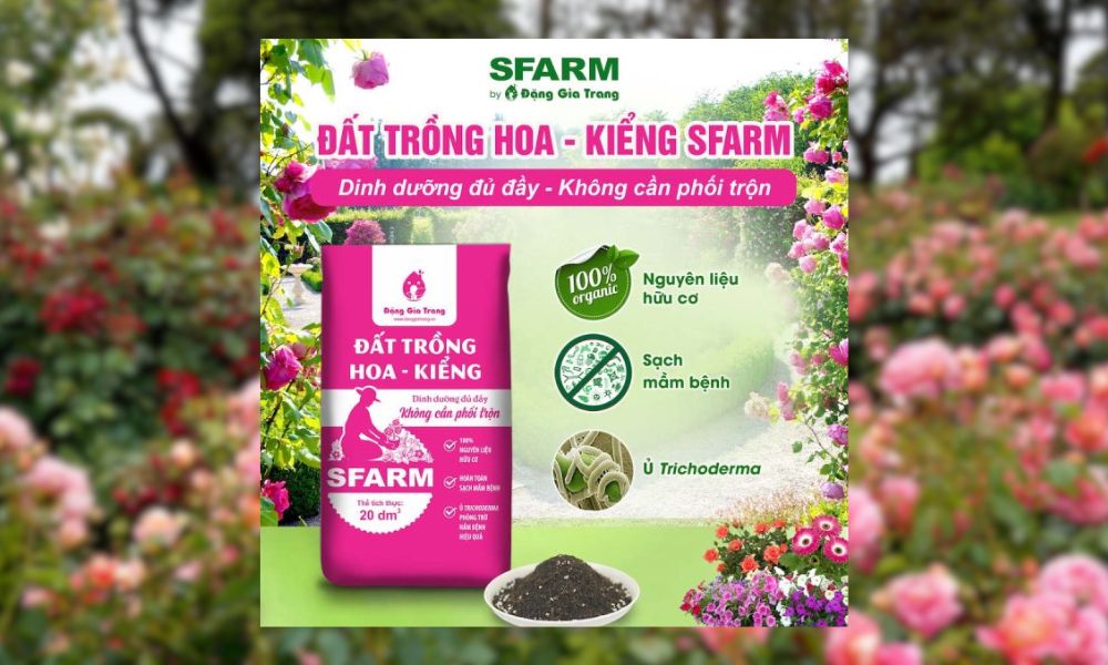 Đất trồng hoa kiểng của SFARM cho hoa mao lương Đất trồng hoa kiểng của SFARM cho hoa mao lương