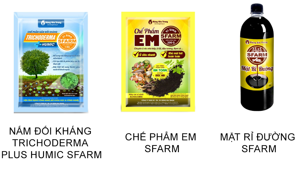Chuẩn bị nguyên liệu và dụng cụ ủ phân dê