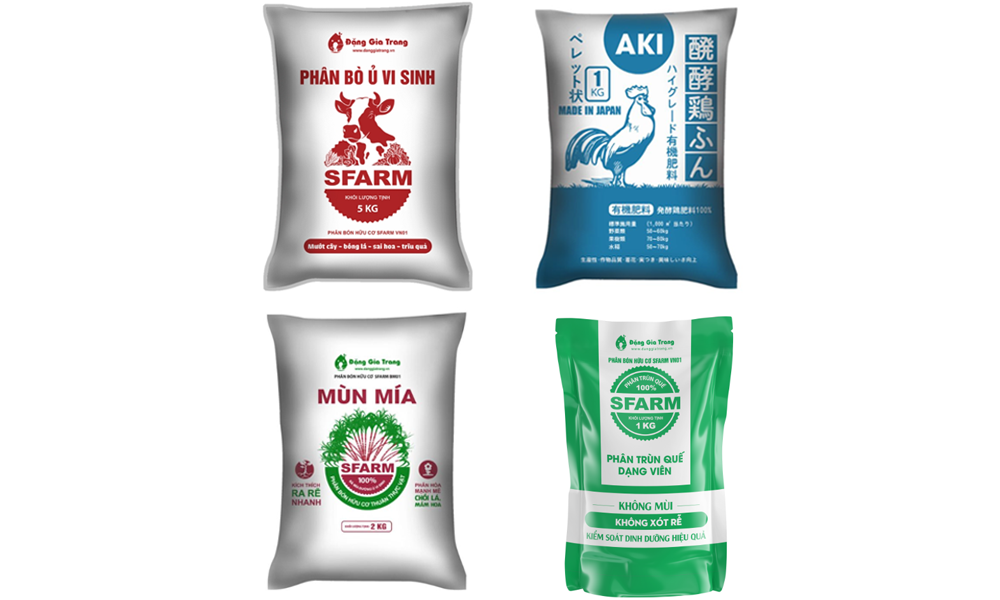 Hướng dẫn trồng cây ngân hạnh chi tiết
