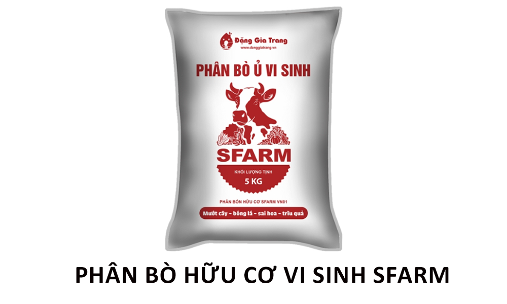 Những lưu ý khi chọn và sử dụng phân bò