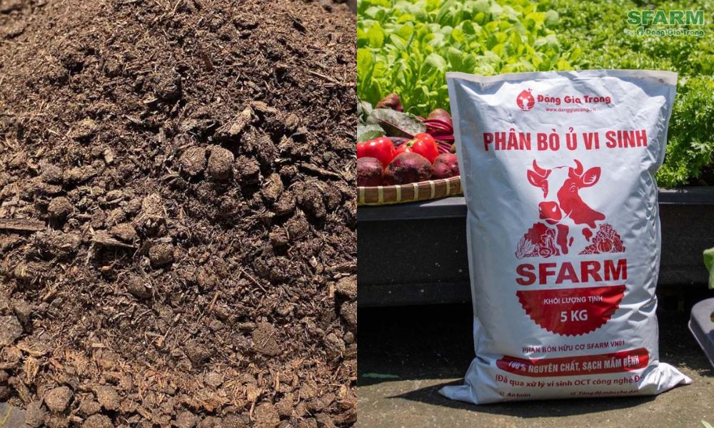 Sản phẩm phân bò vi sinh của SFARM Sản phẩm phân bò vi sinh của SFARM