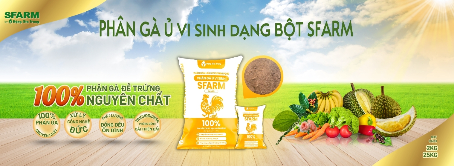 Ra mat phan ga bot SFARM