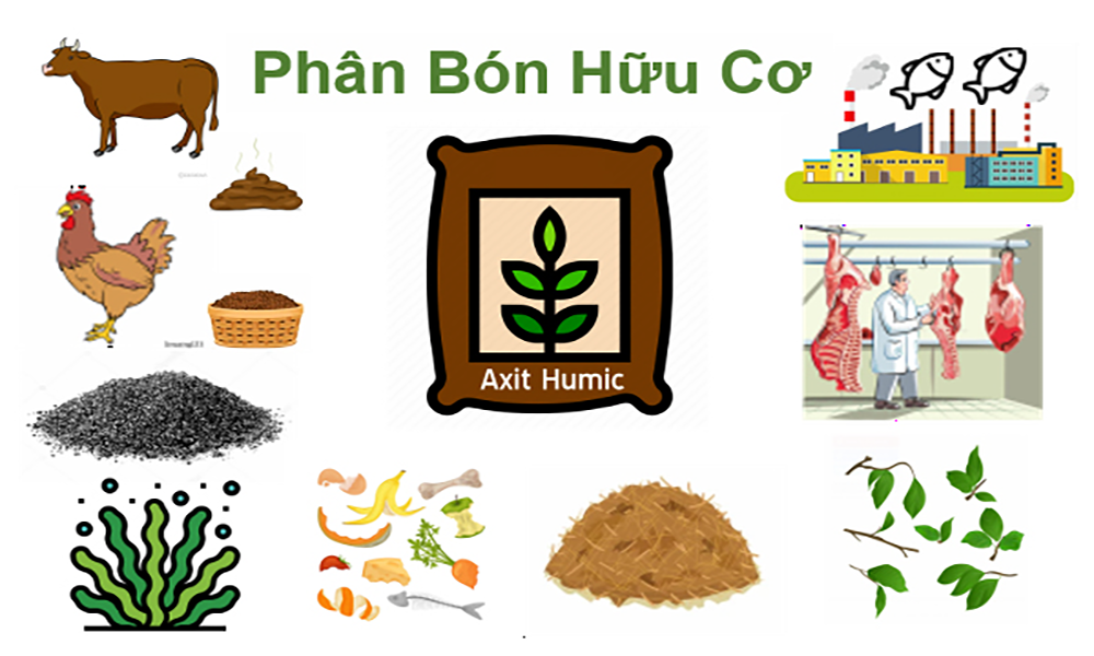 Tìm hiểu về phân hữu cơ